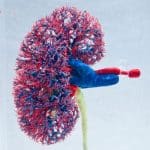 Chronische nierschade