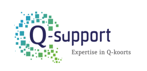 logo Q-support