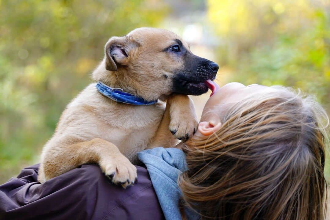 Nieuwe e-learnings zoönosen: actueel en gratis voor NHG-leden